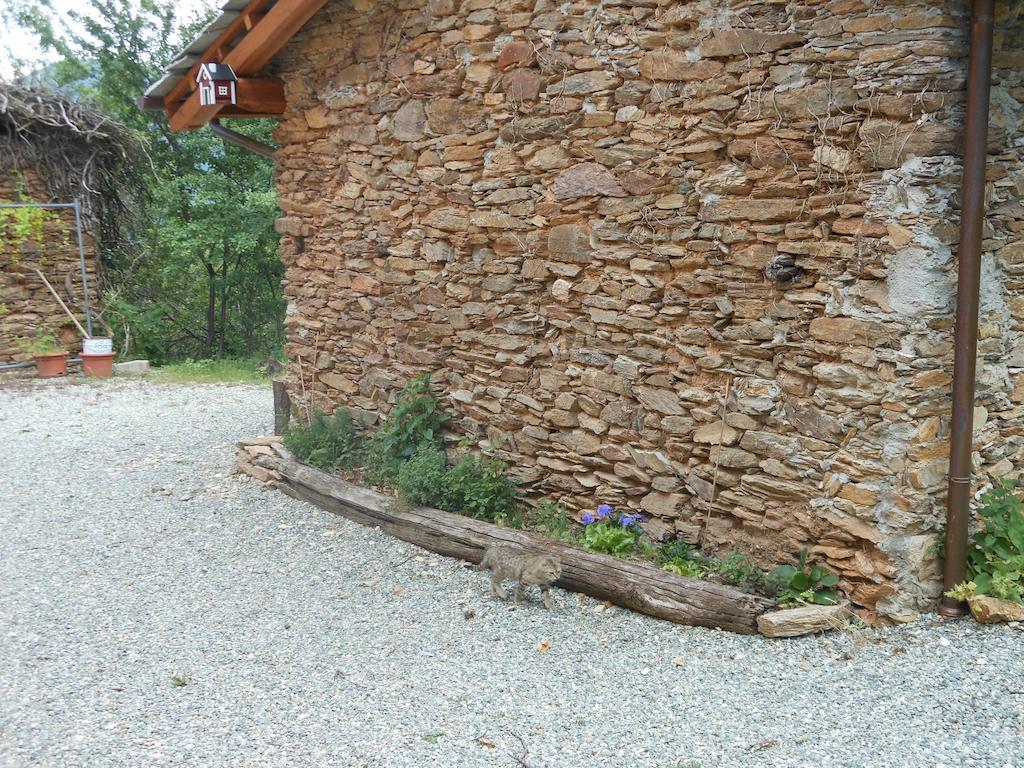 Le Lasarde Venasca Camera foto
